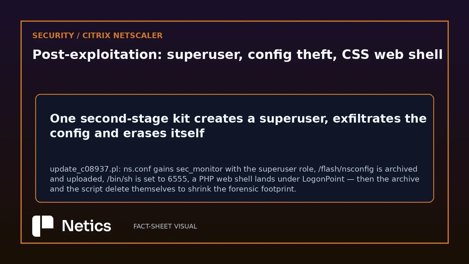 Netics editorial diagram: the post-exploitation sequence on a NetScaler appliance