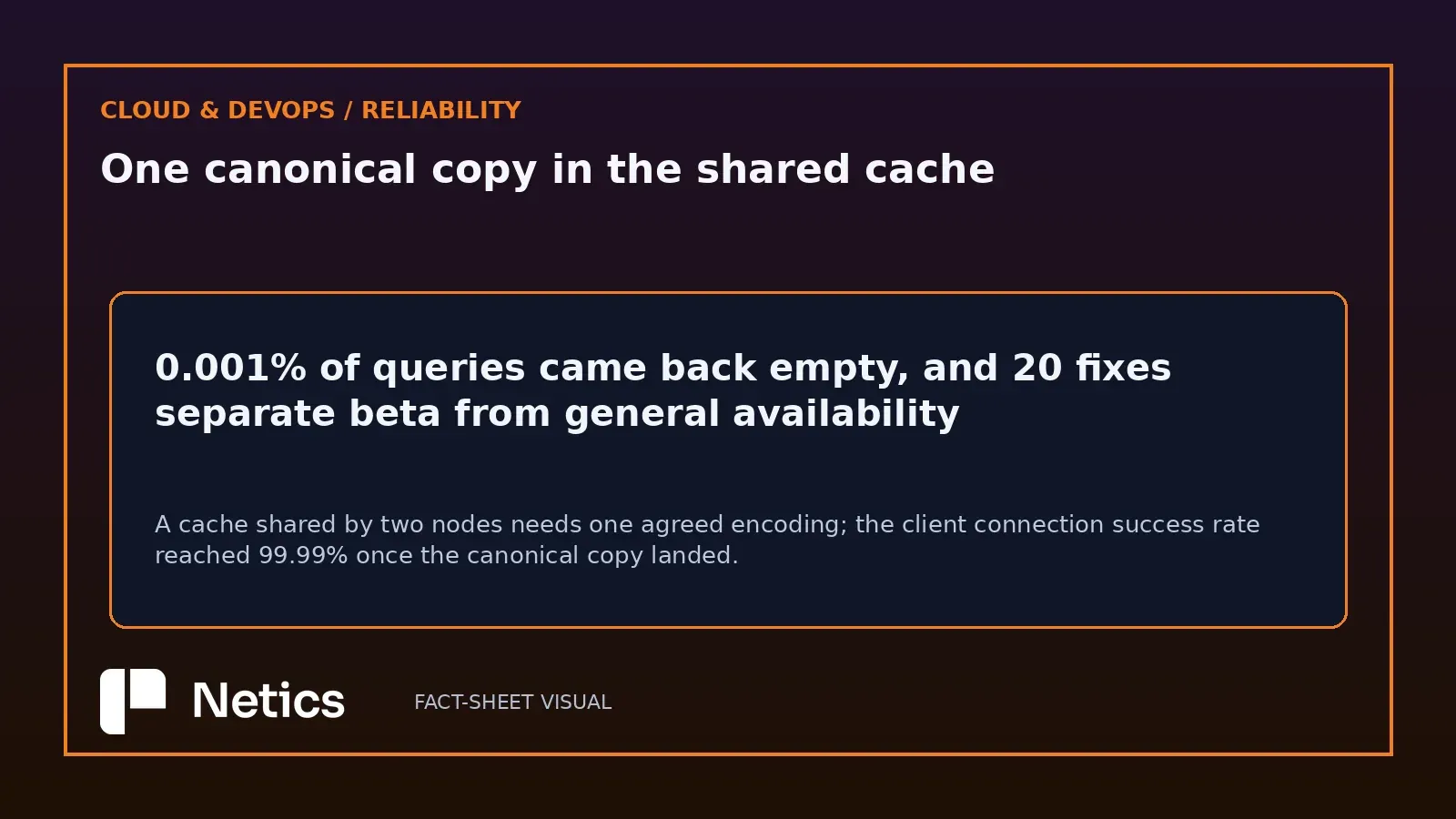 Netics editorial fact banner on the 0.001% empty-response rate, the twenty fixes between beta and general availability and the 99.99% connection success rate.
