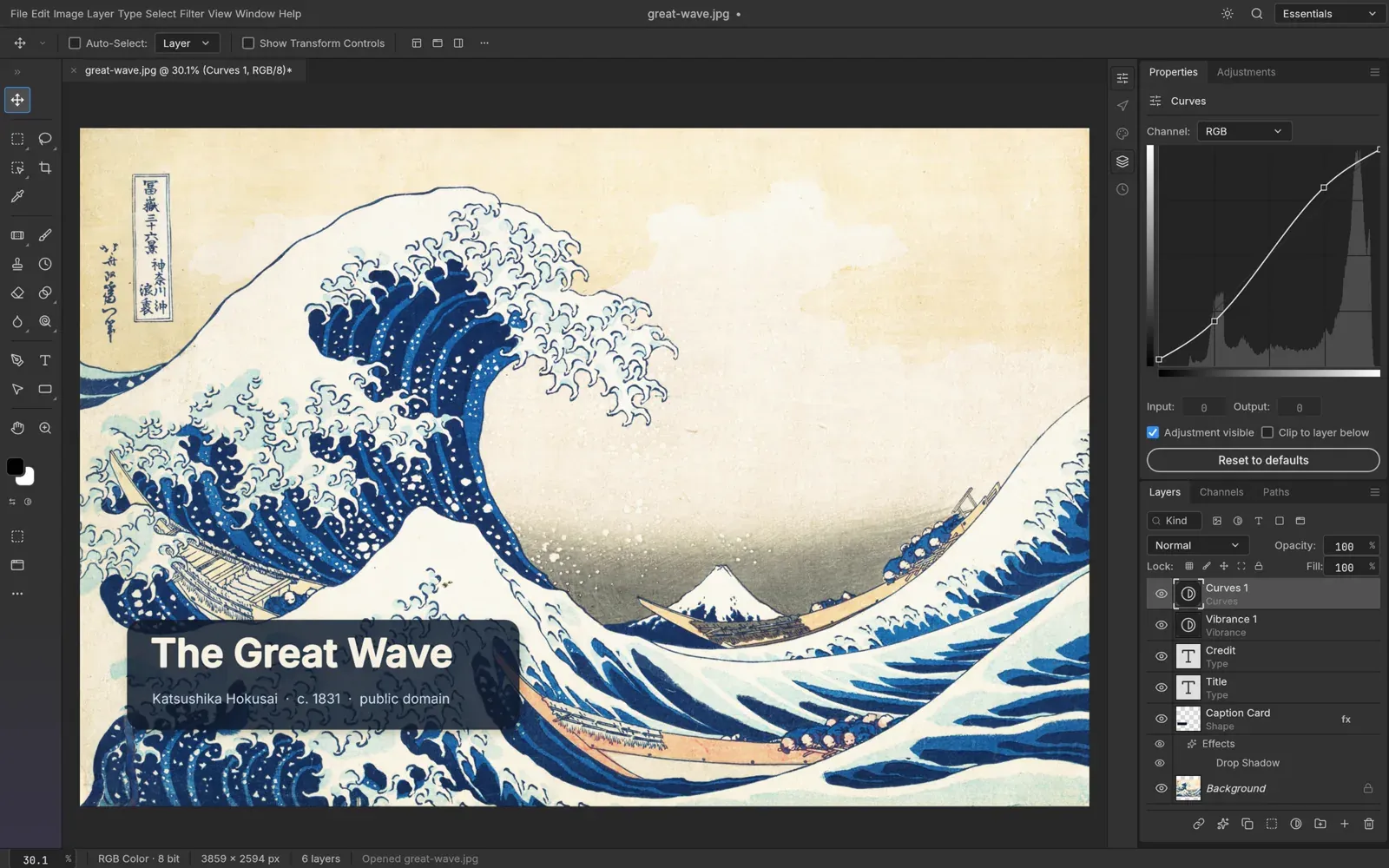 Official ArtCraft PhotoCraft capture showing an image with layers and a curves adjustment open in the editor.