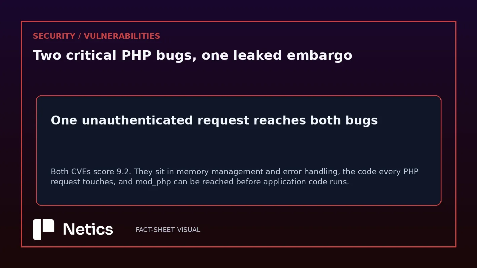 Netics editorial banner on what one unauthenticated request reaches