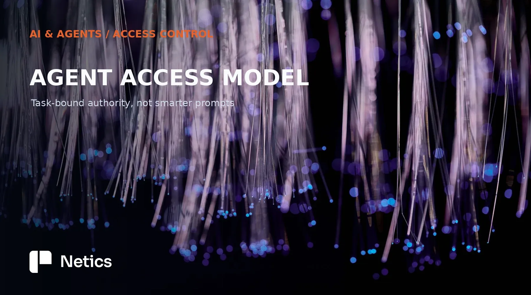 Internal Netics networking photo behind an Agent Access Model title card