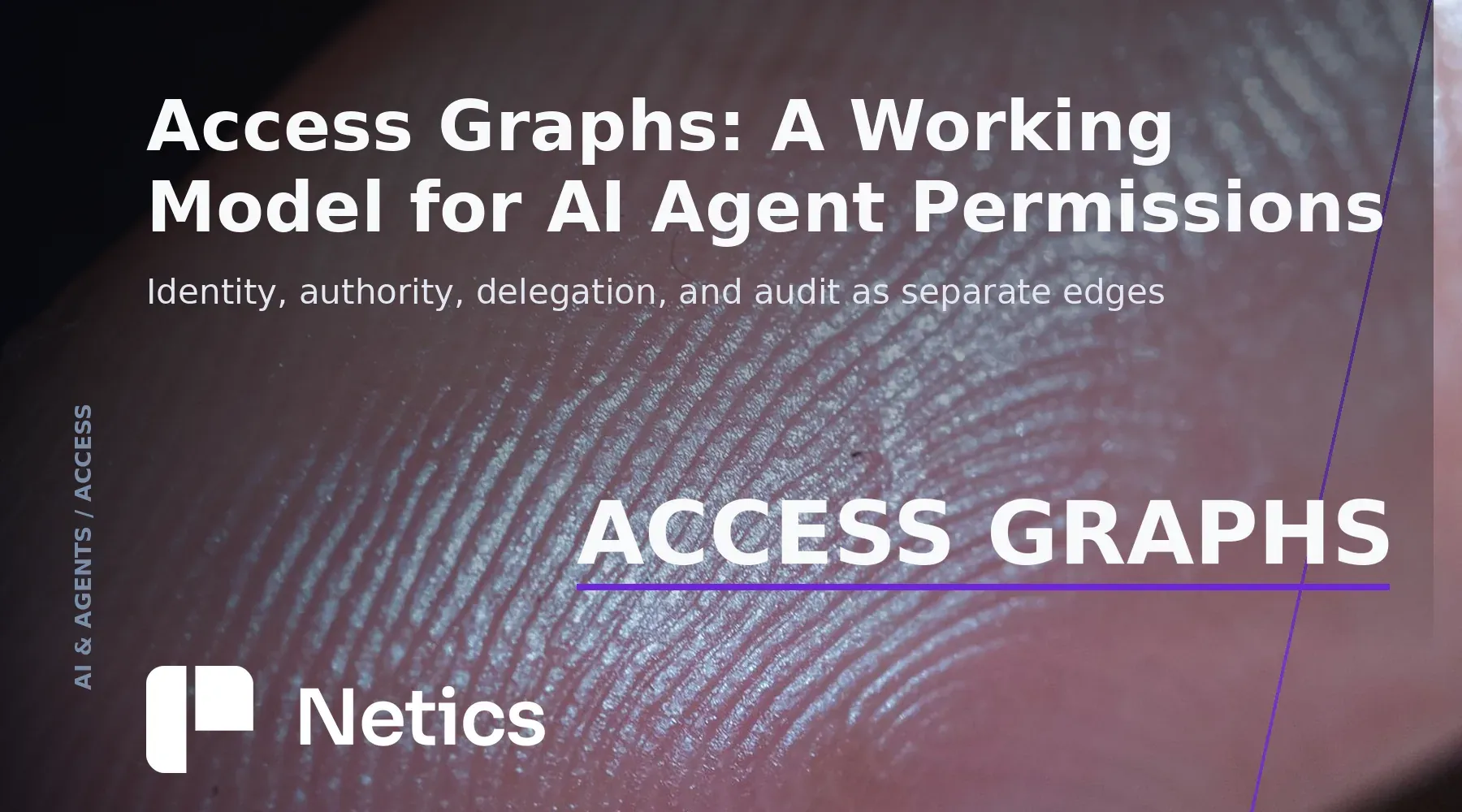 AI agent access graphs explained with a real infrastructure photo and Netics branding.