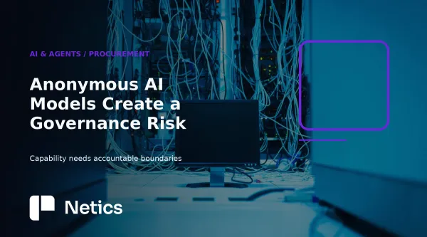 Netics editorial diagram about anonymous AI model provenance