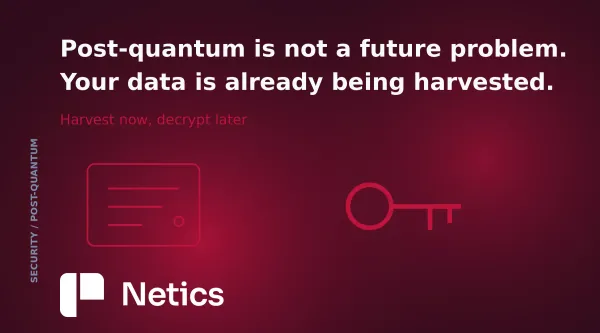 Post-quantum security concept with a key exchange graphic on a dark Netics card