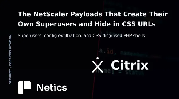 Netics editorial card for the Citrix NetScaler post-exploitation analysis, with the official Citrix identity.
